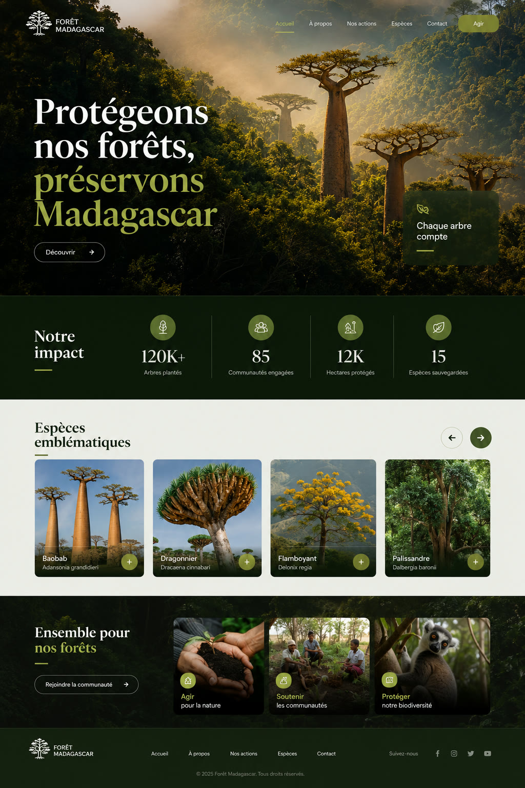 Site de conservation des forêts : héros baobabs, sections espèces et impact